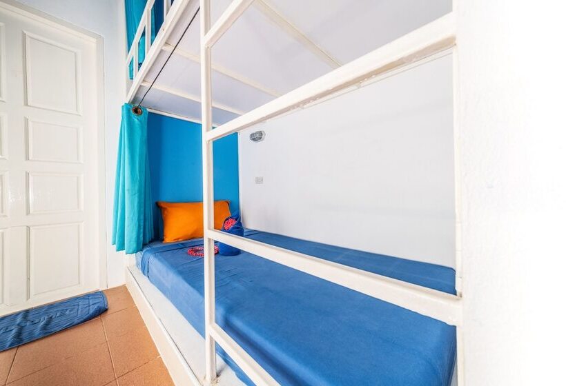 تختخواب در اتاق مشترک, Shiralea Backpackers Resort
