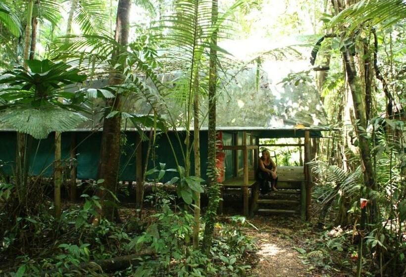 Номер Стандарт Совместная Ванная, Daintree Crocodylus