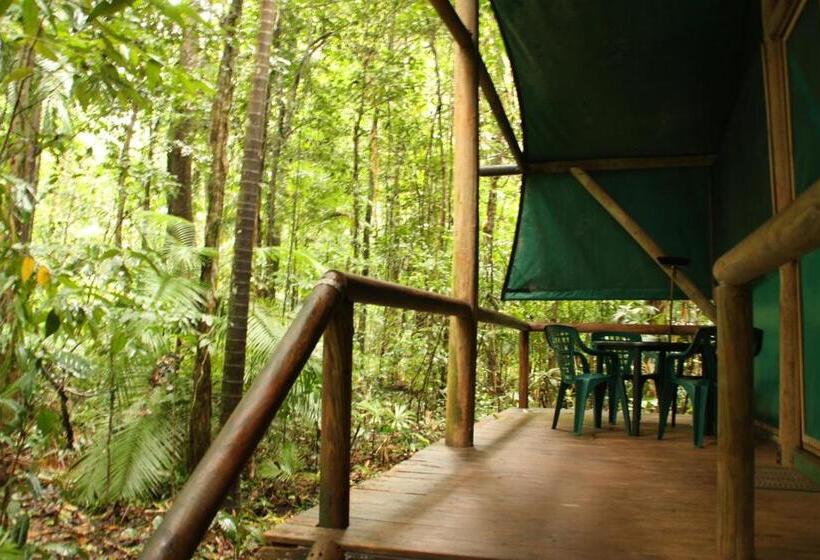 Бунгало Стандарт, Daintree Crocodylus