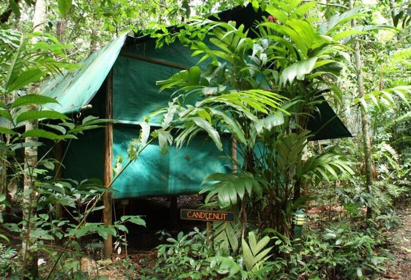 Хижина, Daintree Crocodylus