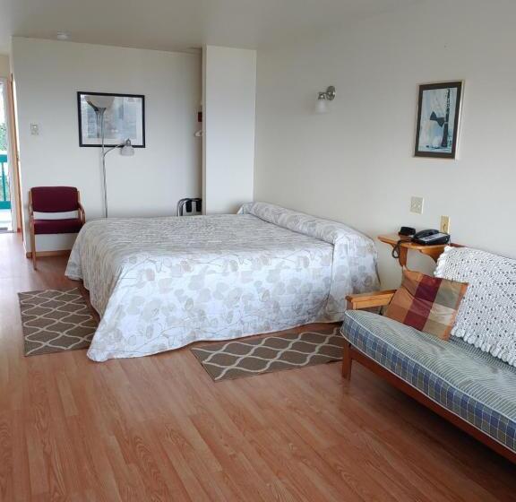 스탠다드 룸 킹사이즈 침대, The Dublin House Motel