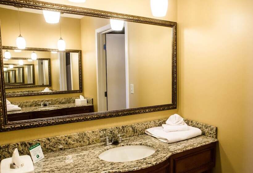Люкс, Jackson Park Inn, Ascend Hotel Collection
