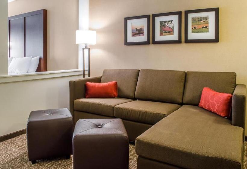 适合残疾人士使用的套间, Comfort Suites Manheim   Lancaster
