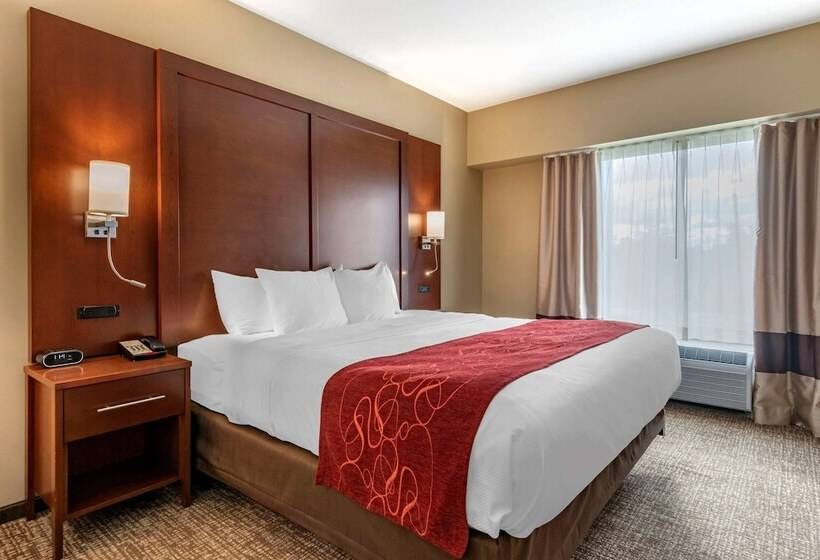 适合残疾人士使用的套间, Comfort Suites Manheim   Lancaster