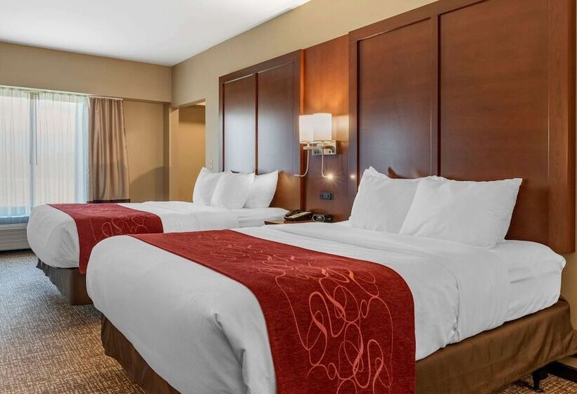 适合残疾人士使用的套间, Comfort Suites Manheim   Lancaster