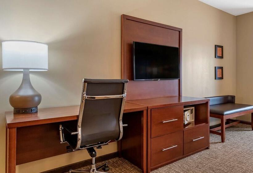适合残疾人士使用的套间, Comfort Suites Manheim   Lancaster