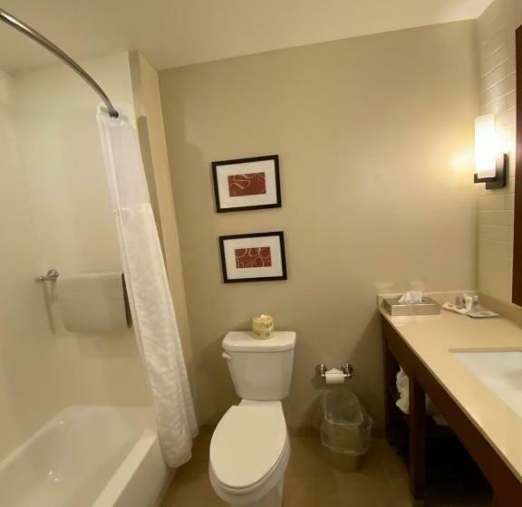 套房, Comfort Suites Manheim   Lancaster