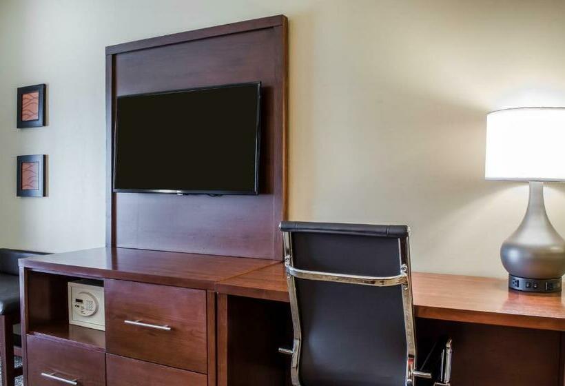 带大床的套房, Comfort Suites Manheim   Lancaster