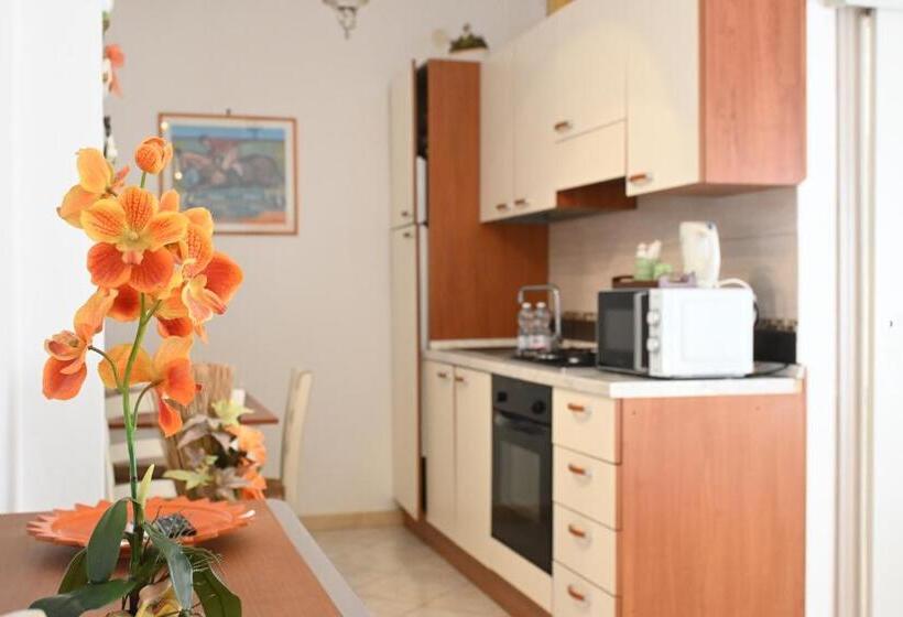Студия Стандарт, La Mimosa
