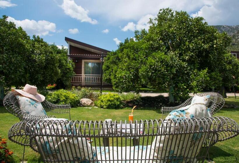 Quarto Estandar, Kimera Lounge Boutique Hotel & Spa