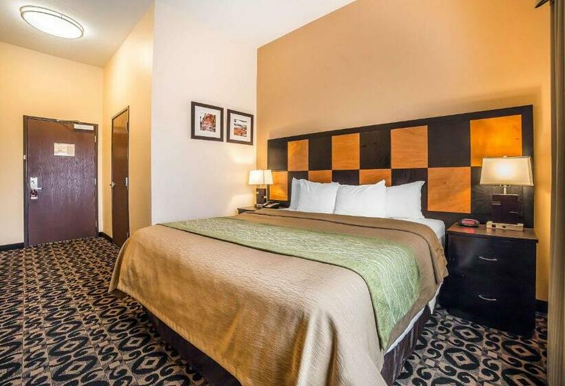 带大床的标准间, Comfort Inn Ballardroosevelt