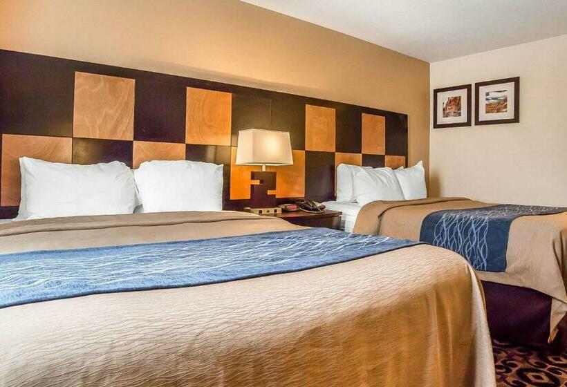 标准间, Comfort Inn Ballardroosevelt