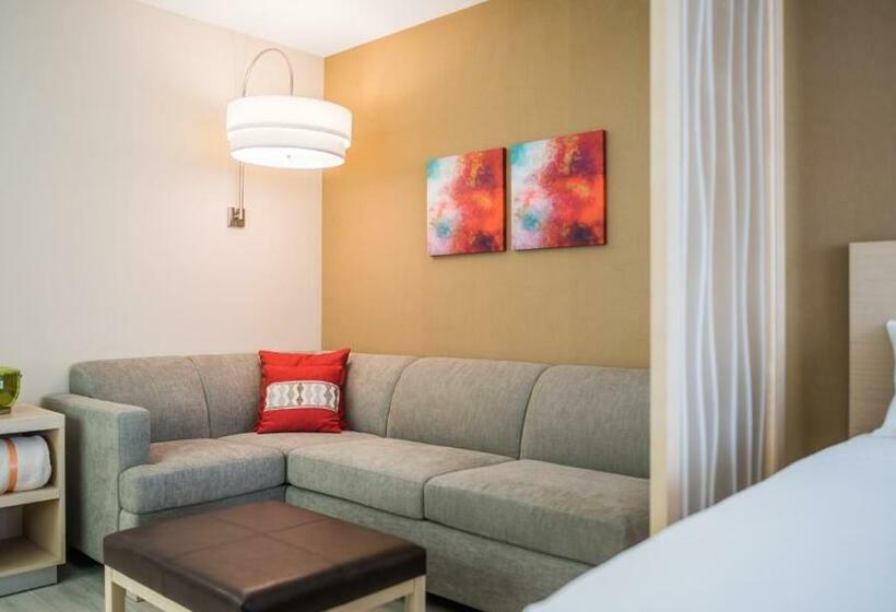 اتاق استاندارد با تخت بزرگ, Hyatt Place Managua