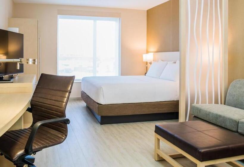 سوئیت با تخت بزرگ, Hyatt Place Managua