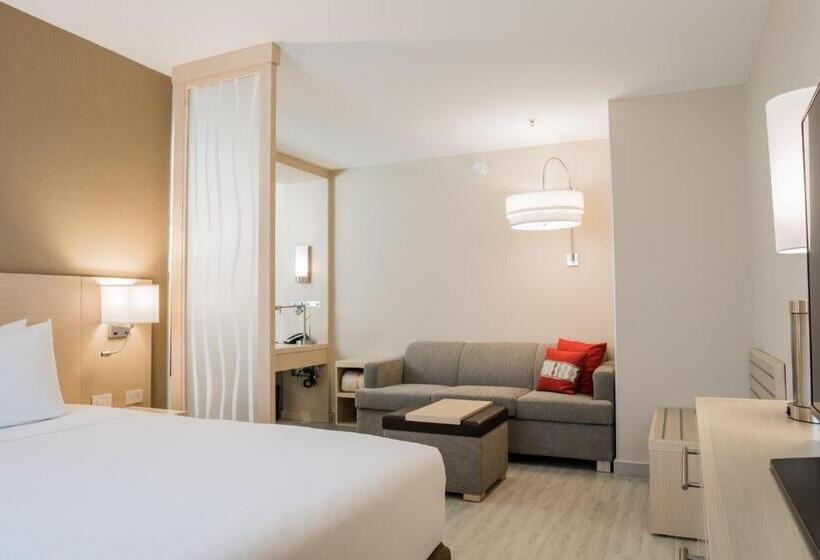 اتاق استاندارد با تخت بزرگ, Hyatt Place Managua