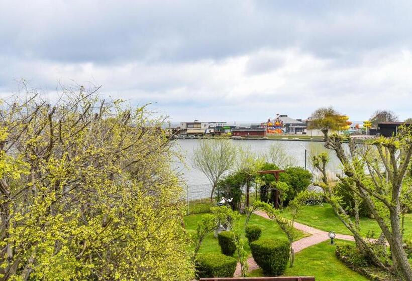 آپارتمان 1 خوابه با بالکن, Complex Tismana All Inclusive