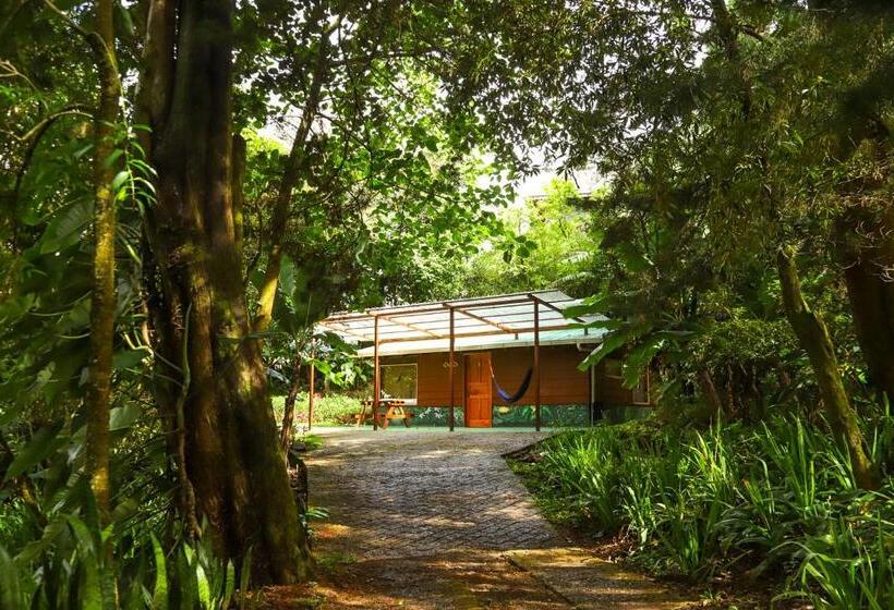 Дом 1 Спальня, Los Pinos Cabins & Reserve