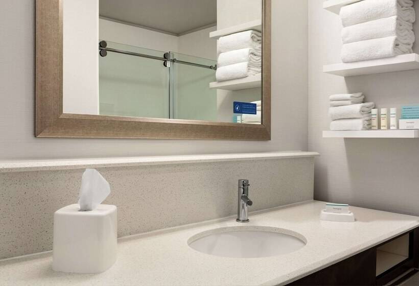 스탠다드 룸 킹사이즈 침대, Hampton Inn & Suites Minooka
