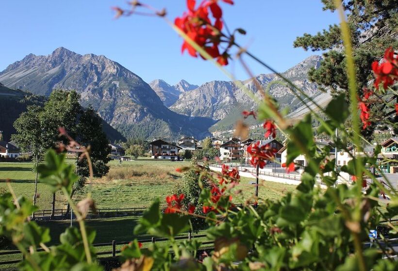Номер Стандарт с Балконом, Villa Rina