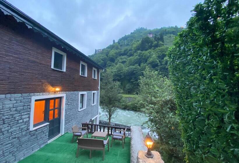 Quarto Estandar, Ni̇ka