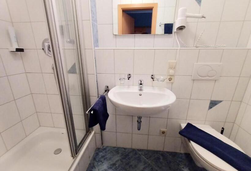 اتاق استاندارد یک نفره, Bodensee Gästehaus Tettnang Albergo