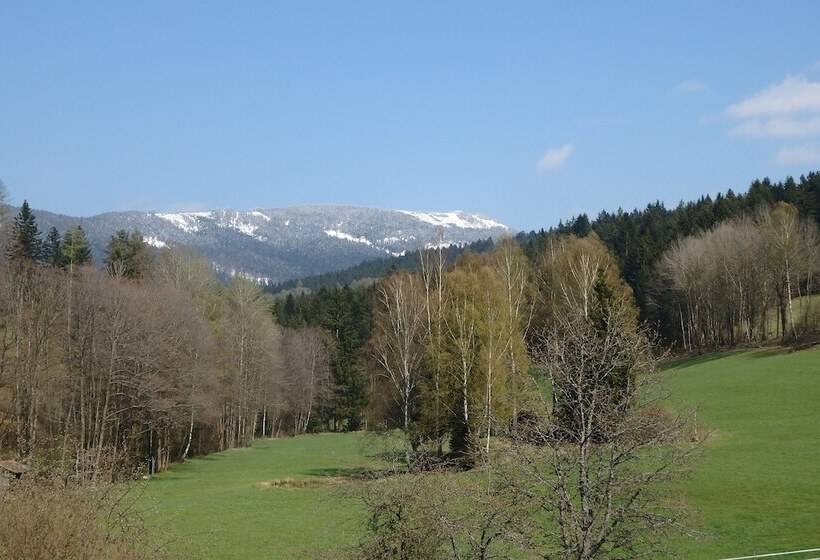 Студия Стандарт, Landhotel Grünwies  Bonsai Wellness Garni