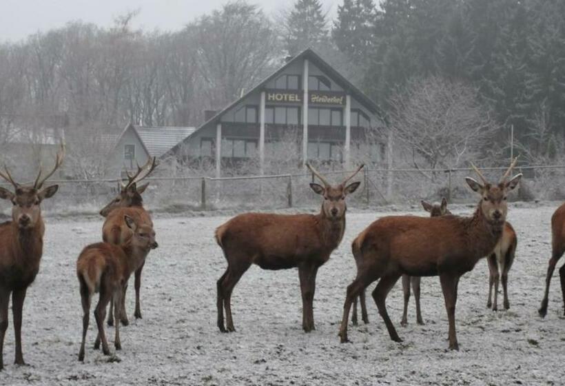 Номер Стандарт с Балконом, Heiderhof