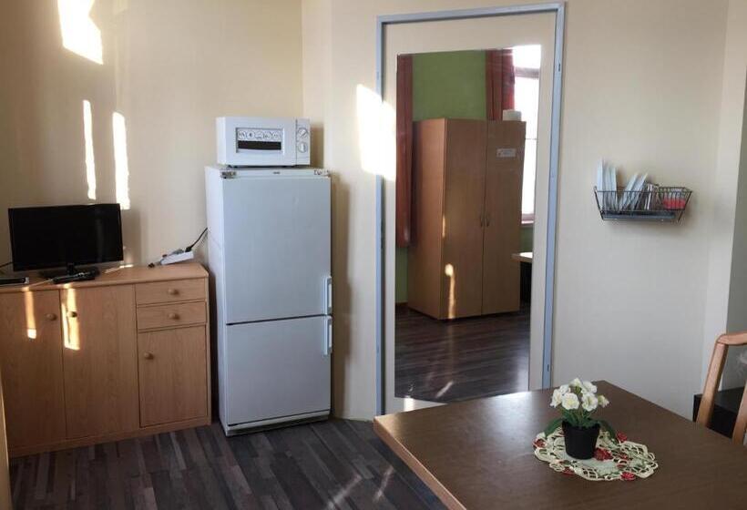 带共用浴室的标准房间, Zimmerfrei Dresden Mit Bad Miniküche Self Check In 24 7