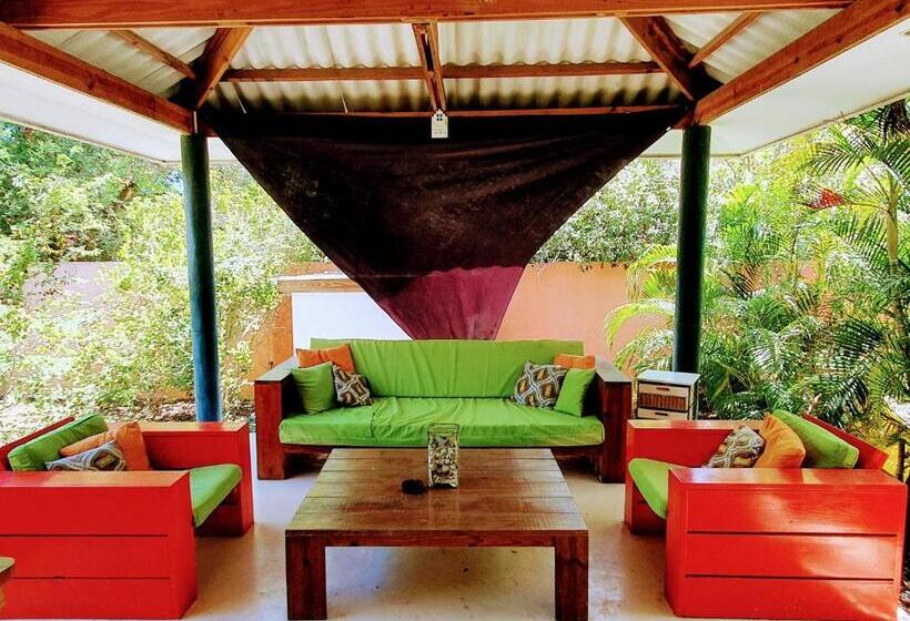 اتاق استاندارد با تراس, Abaai Resort B&b