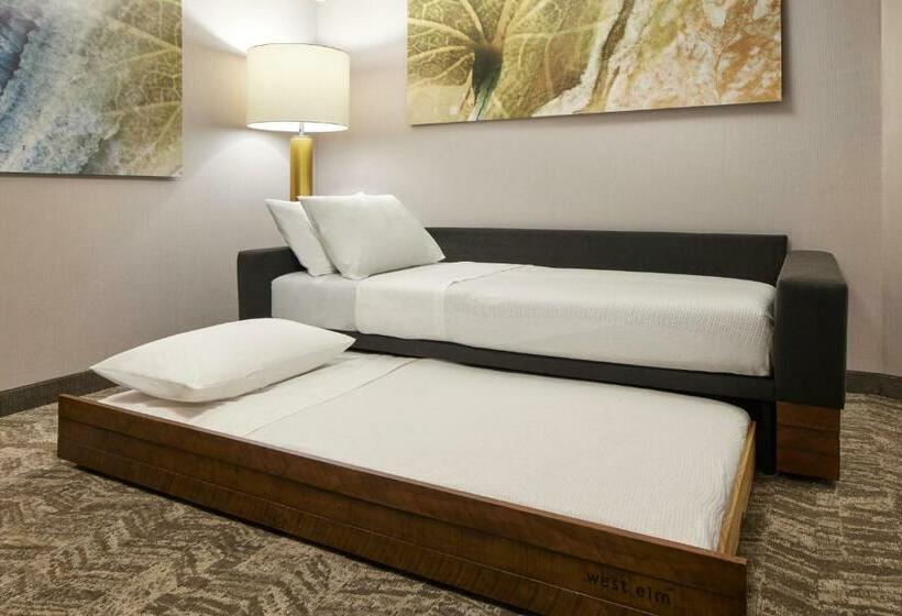 Люкс Кровать Квин, Springhill Suites By Marriott Frederica