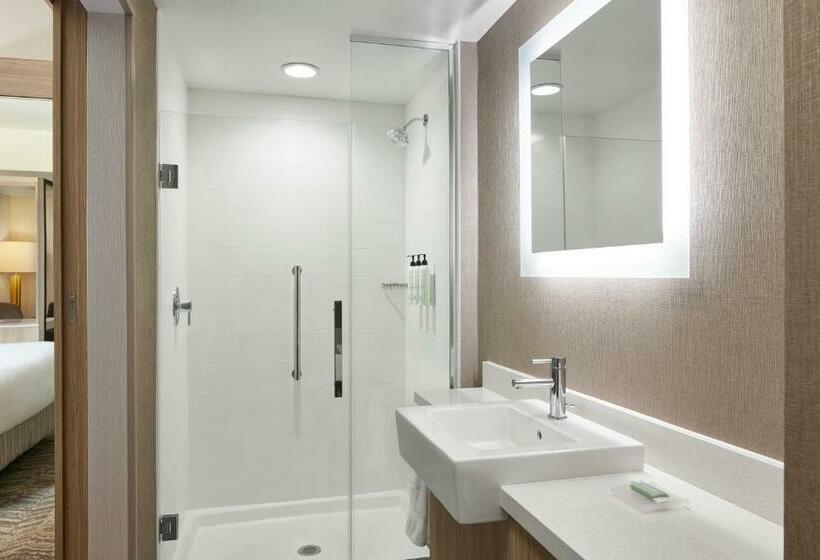 Люкс Кровать Кинг, Springhill Suites By Marriott Frederica