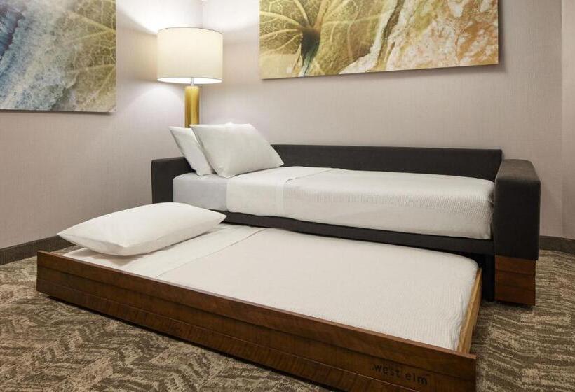 Люкс Кровать Кинг, Springhill Suites By Marriott Frederica