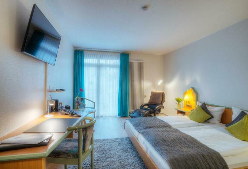 غرفة سوبيريور, Paulin Hotel Trier