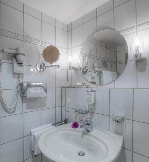 غرفة سوبيريور, Paulin Hotel Trier