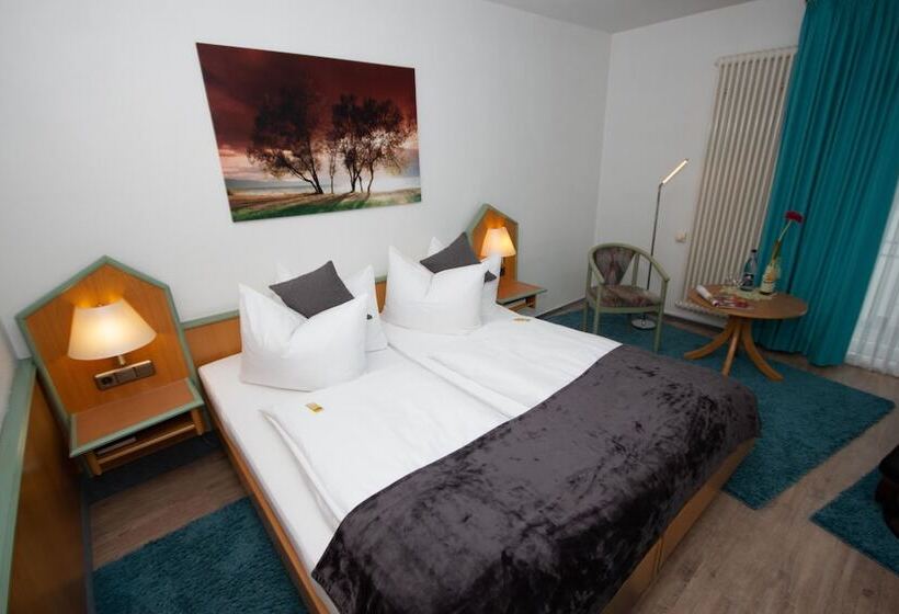 غرفة سوبيريور فردية, Paulin Hotel Trier