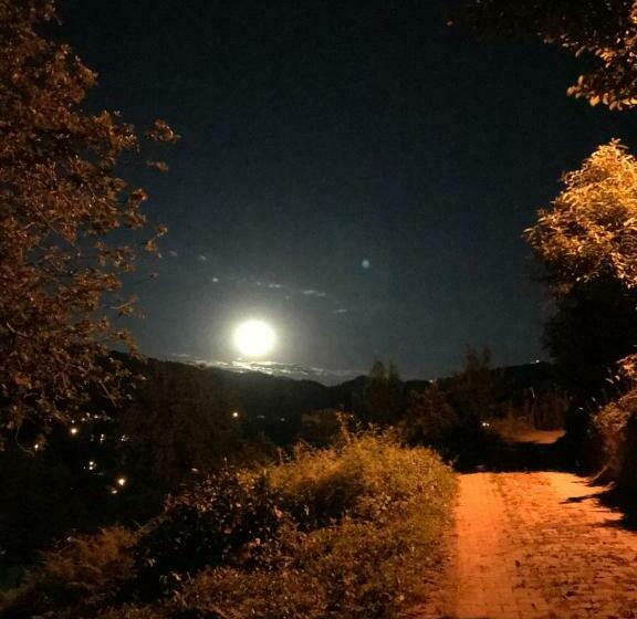 套房, My World Bungalov
