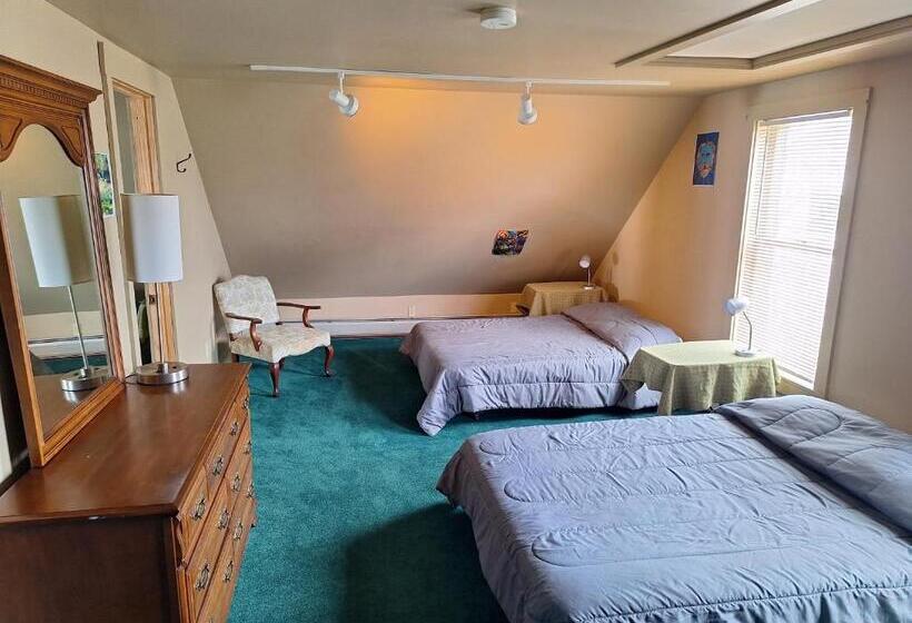 Люкс, Terrapin Hostel