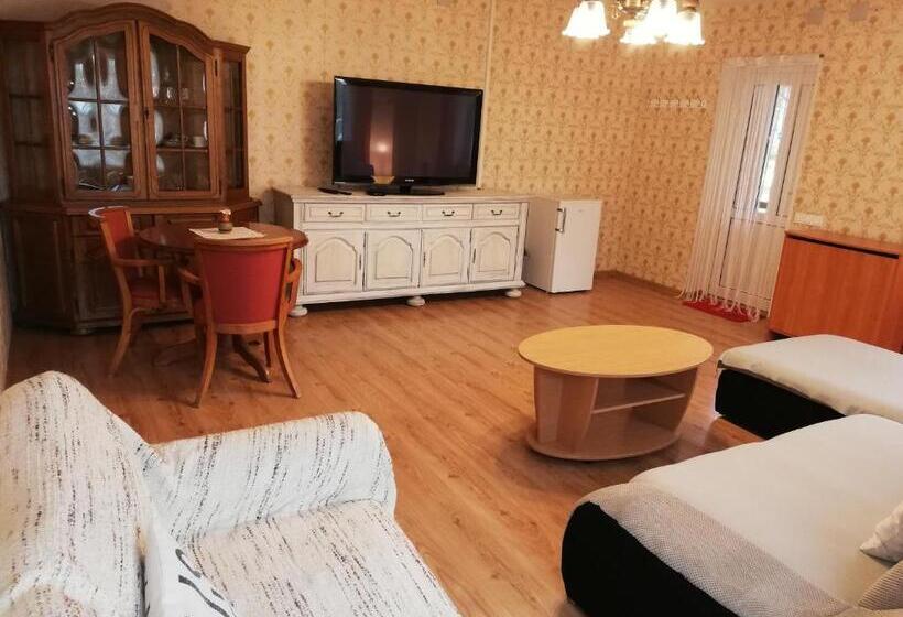 آپارتمان 1 خوابه با تراس, Grafinė Apartments Plateliai
