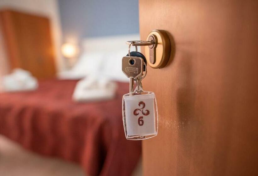 Номер Стандарт, B&b New Triscele