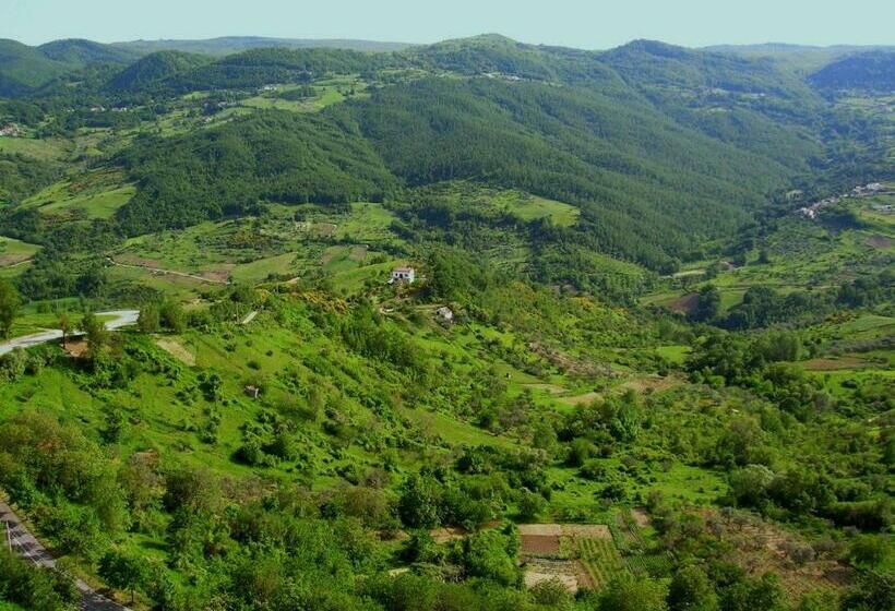Номер Стандарт, Borgo San Pietro