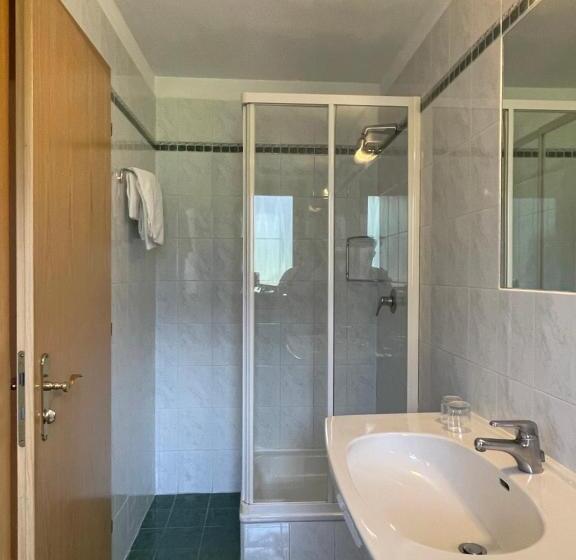 Трехместный Номер Комфорт, Larch