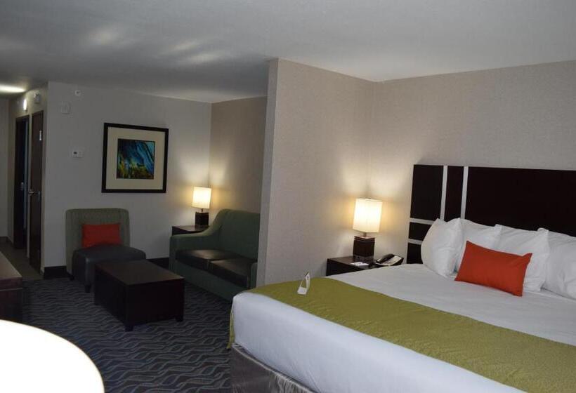 带大床的套房, Best Western Plus Hardeeville Inn & Suites