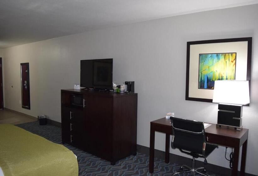 带大床的标准间, Best Western Plus Hardeeville Inn & Suites