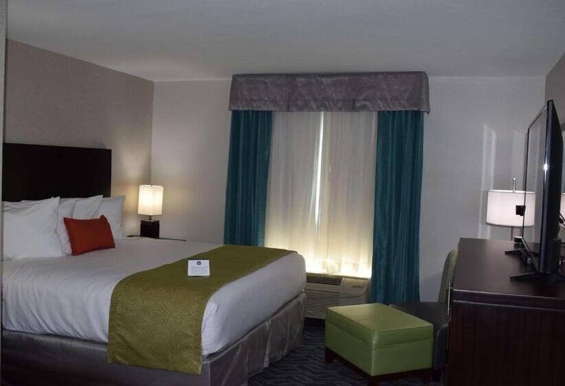 带大床的标准间, Best Western Plus Hardeeville Inn & Suites