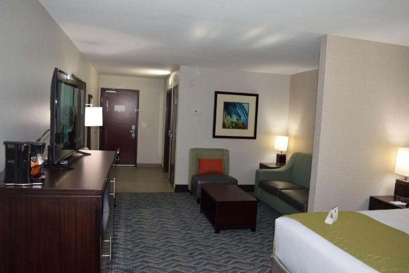 带大床的套房, Best Western Plus Hardeeville Inn & Suites