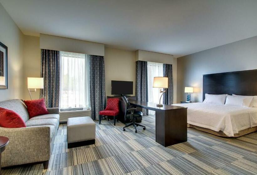Люкс Deluxe Кровать Кинг, Hampton Inn & Suites Greenville Airport, Sc