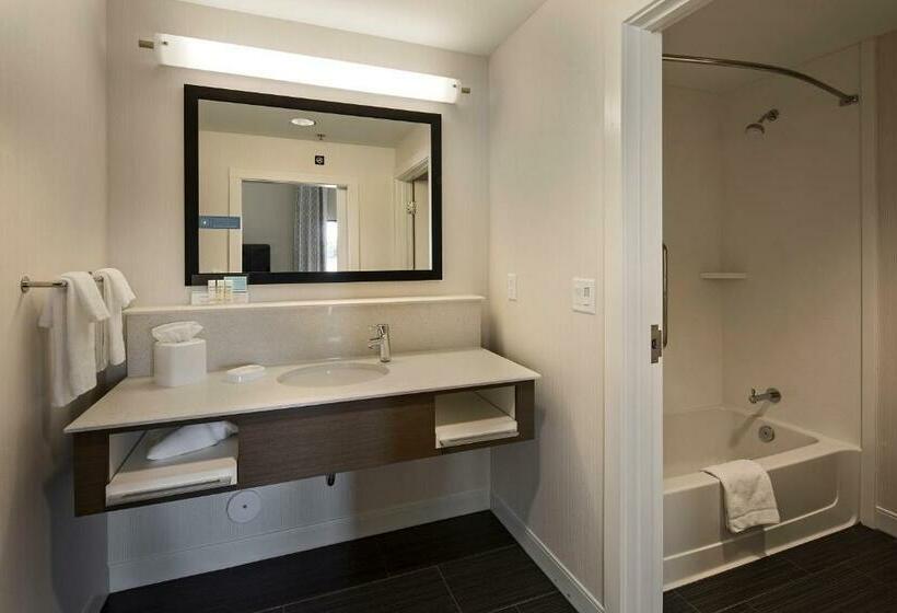 디럭스 스위트 킹 침대, Hampton Inn & Suites Page  Lake Powell