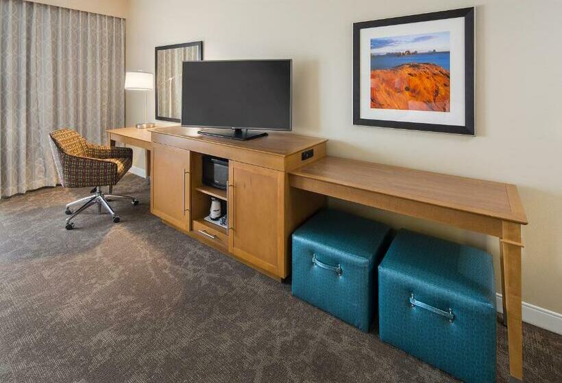 스탠다드 룸 킹사이즈 침대, Hampton Inn & Suites Page  Lake Powell