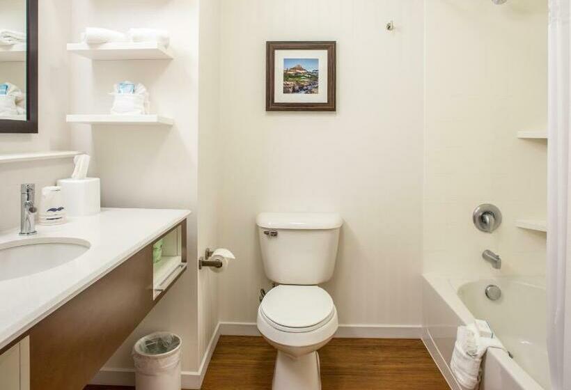 Люкс Deluxe Кровать Кинг, Hampton Inn & Suites Whitefish