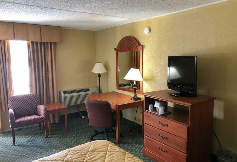 스탠다드 룸 킹사이즈 침대, Rodeway Inn Joint Base Andrews Area